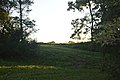 Profile Picture of Sleeth Site - Wikipediaon Wikipedia