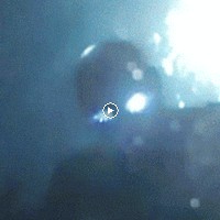 Profile Picture of Tyler Huang (@tyler-huang-15) on Quora