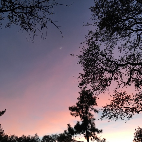 Profile Picture of Sydney Nabhan (@sydney_nabhan) on Poshmark