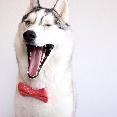 Profile Picture of Bryan Shumate (@shoe1526) on Twitter