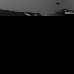 Profile Picture of Matthew Gerken (@157832892) on Myspace