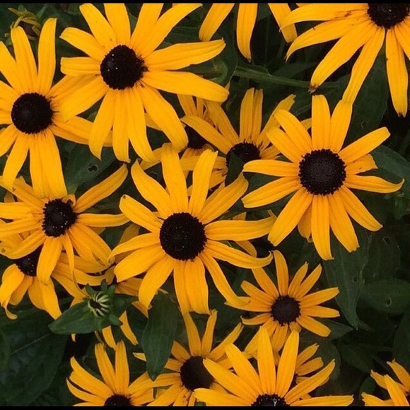 Profile Picture of Katie Polzin (@polzin27) on Poshmark