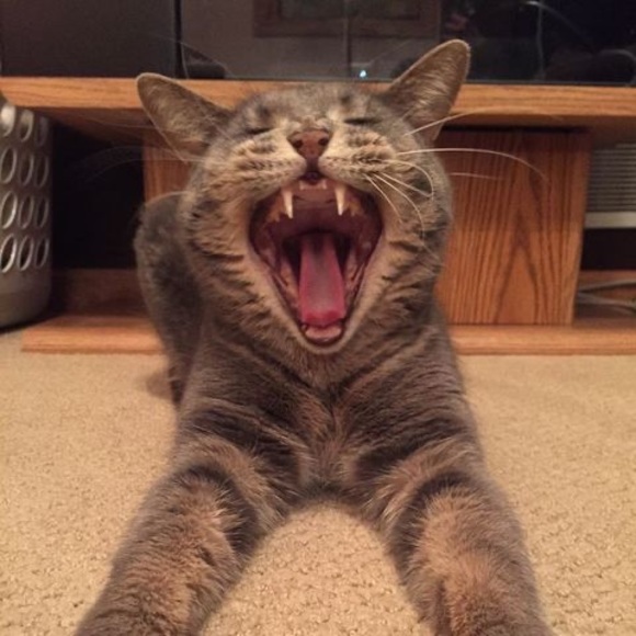 Profile Picture of Joseph Wickham (@joseph_wickham) on Poshmark