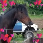 Profile Picture of Laurie Schneider (@laurie.schneider.7773) on Instagram