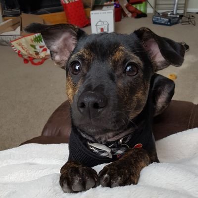 Profile Picture of Jessica McRoberts (@messyjessimay82) on Twitter