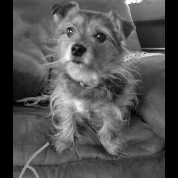 Profile Picture of Wendy Deerwester (@wendysue8) on Poshmark