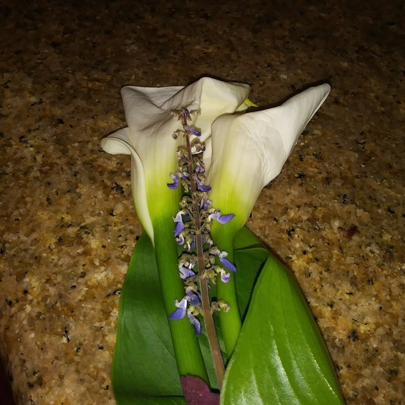 Profile Picture of Sandra Valadez (@sandravaladez) on Poshmark