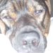 Profile Picture of William Greene (@SamRox77) on Pinterest