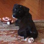 Profile Picture of David Lian (@davidliannnn) on Instagram