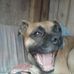 Profile Picture of Alexander Ros (@alexander.ros.16568) on Facebook