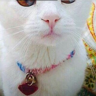 Profile Picture of Fadi Hashim (@fadi.hashim.10) on Facebook