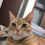 Profile Picture of melanie (@suck_my_turtle_nuts) on Instagram