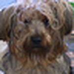 Paula Vasconcelos - Flickr Profile Picture of Paula Vasconcelos (@sem conselhos) on Flickr