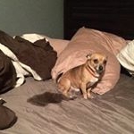 Profile Picture of julie dailey (@daileys.finsta) on Instagram