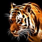 Profile Picture of Connor Pratt (@Athleticpratt) on Youtube