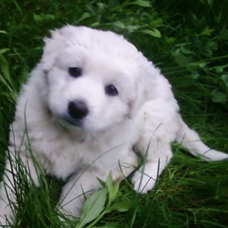 Profile Picture of Adam Fredo (@adam.fredo.31) on Facebook