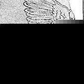 Profile Picture of Y.k From Street-legendz (@jerrellthomas) on Myspace