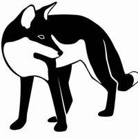 Profile Picture of Felix Fox (@felix-fox-10) on Quora