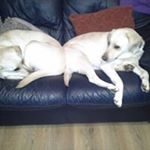 Profile Picture of Paul Neave (@paul.neave.779) on Instagram