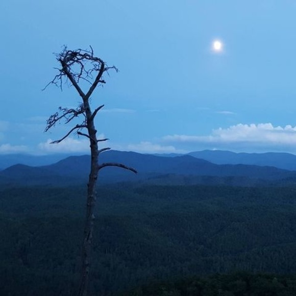 Lisa Rabold - Poshmark Profile Picture of Lisa Rabold (@rabold2003) on Poshmark