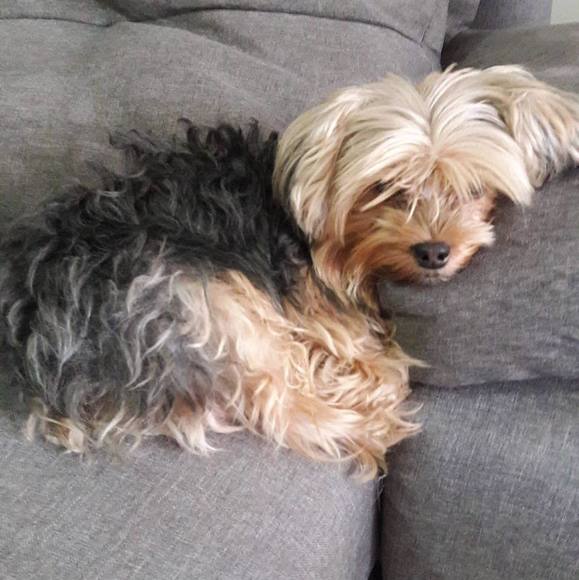 Profile Picture of Craig Howarth (@craighowarth) on Poshmark