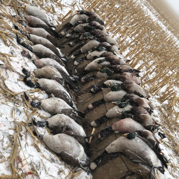 Profile Picture of Dan Erikson (@danerikson0) on Poshmark