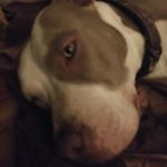 Profile Picture of Owen Steele (@owen.steele.754) on Instagram