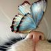 Profile Picture of Louise Carr (@Tabbycatlove) on Pinterest