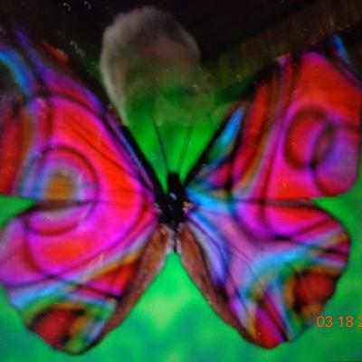 Profile Picture of Elizabeth Patterson (@RubyEp587890) on Twitter