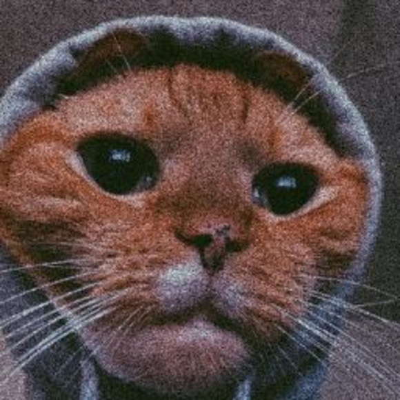 Profile Picture of Tyson Sparkes (@tysonsparkes) on Poshmark