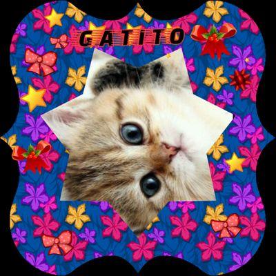 Profile Picture of Liza Minelli De Jesu (@JesuLiza) on Twitter