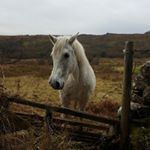 Profile Picture of Christopher Neill (@christopher.neill) on Instagram