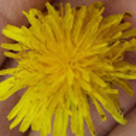 Profile Picture of Ana lucia Leal (@analuleal1704) on Poshmark