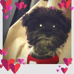 Profile Picture of Kathleen Fox (@kathleen.fox0) on Tiktok