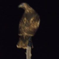 Profile Picture of Aaron Whitworth (@aaronw2023) on Pinterest