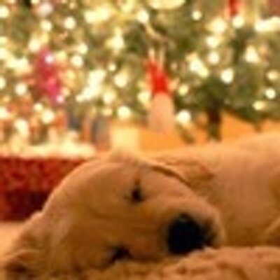 Profile Picture of Vivian Randall (@AnisVivian) on Twitter