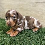 Profile Picture of Stuart Little Gant (@stuartgant) on Instagram