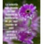 Profile Picture of Mayra Rodriguez (@may.rodriguezbarios) on Flickr