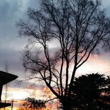 Profile Picture of Bee Jay (@meizhao) on Twitter