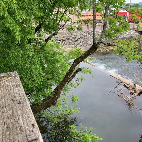 Profile Picture of Chelsea Lanningham (@cmariel96) on Poshmark