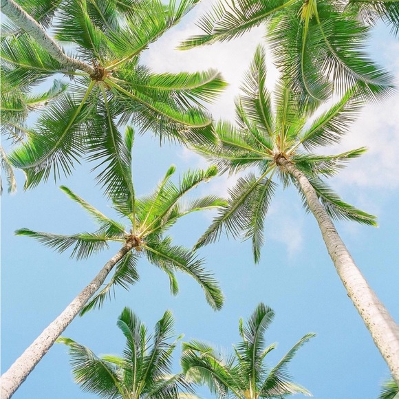 Profile Picture of Marie Robillard (@richetter) on Poshmark