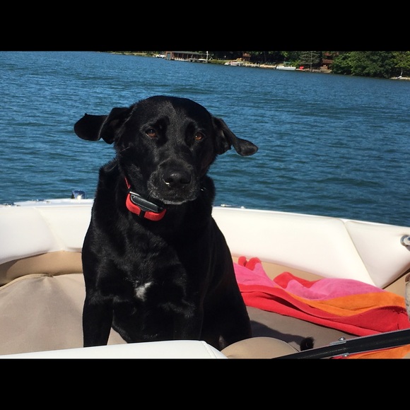 Profile Picture of Judy Mazzucca (@judybrandeis) on Poshmark