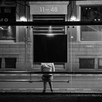 Profile Picture of Stacy Avery  (@stacyavery14073) on Pinterest