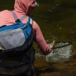 Profile Picture of Jake Alpert (@chef_and_release) on Instagram