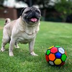 Profile Picture of Paul Spies (@spies.paul) on Instagram