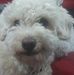 Profile Picture of Manuel Wade (@manuel.wade.7) on Facebook