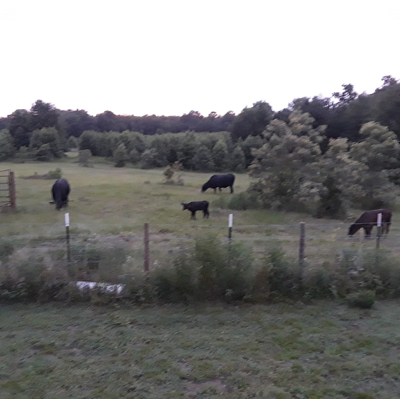 Profile Picture of Ella Bagala (@ellabagala) on Poshmark