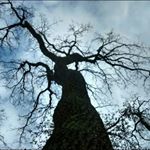 Profile Picture of Peter Sansom (@peterjsansom) on Instagram