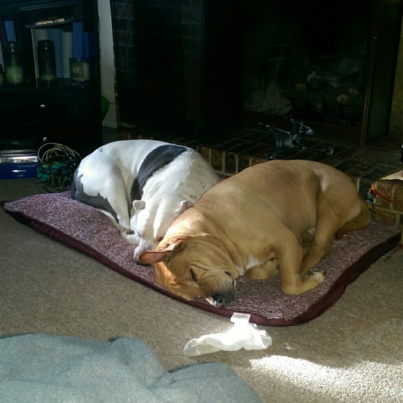 Profile Picture of Christina Alloway (@cocatigger6) on Poshmark