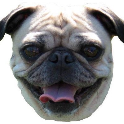 Profile Picture of Bryan Heck (@ItsBryan_BOI) on Twitter